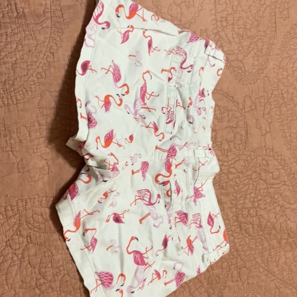 Shorts - Picture 2 of 2